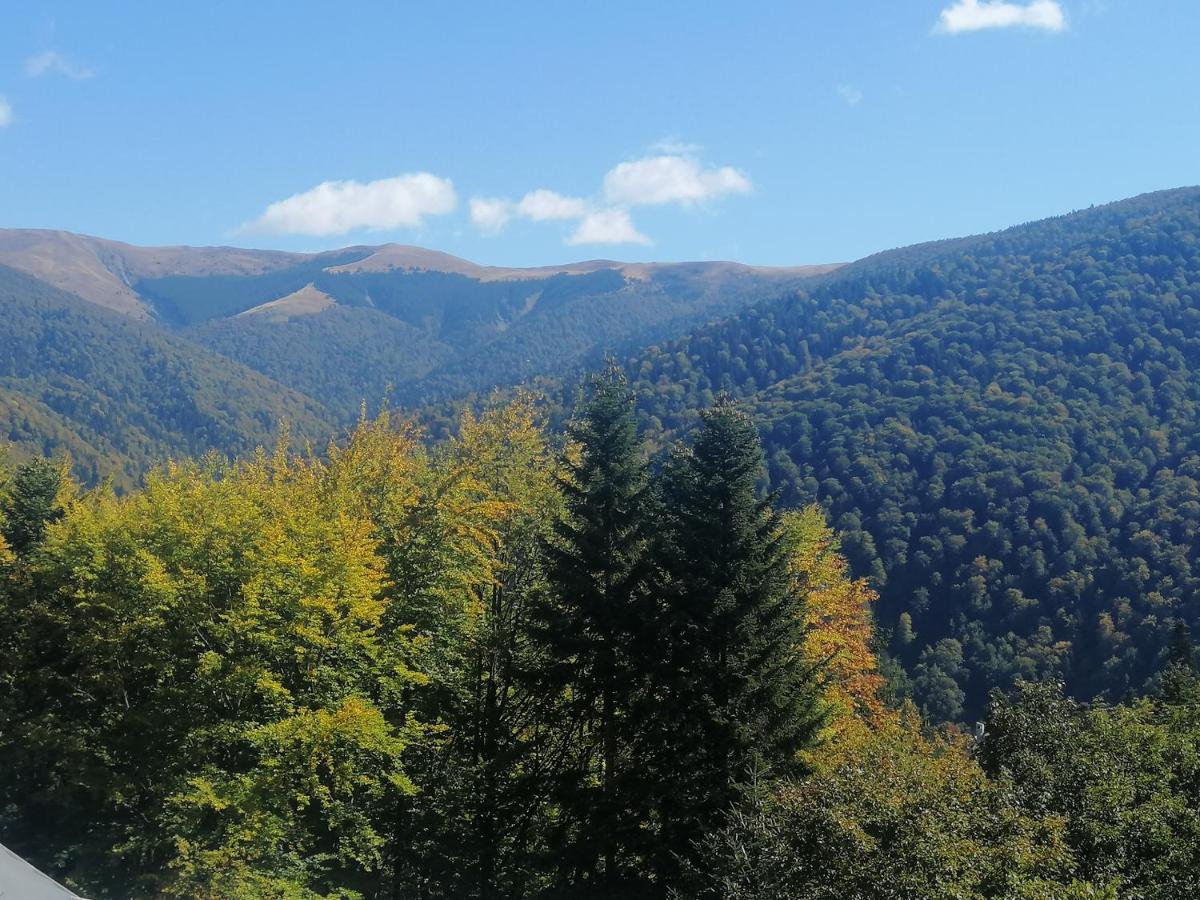 The Rock Apartment Sinaia Ngoại thất bức ảnh