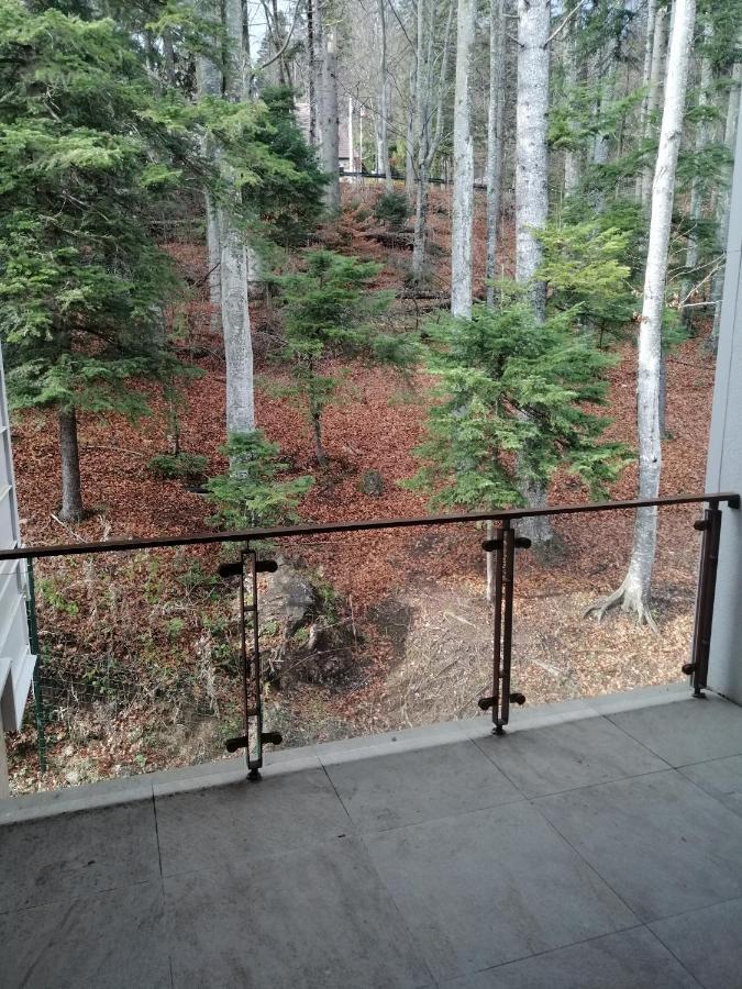 The Rock Apartment Sinaia Ngoại thất bức ảnh