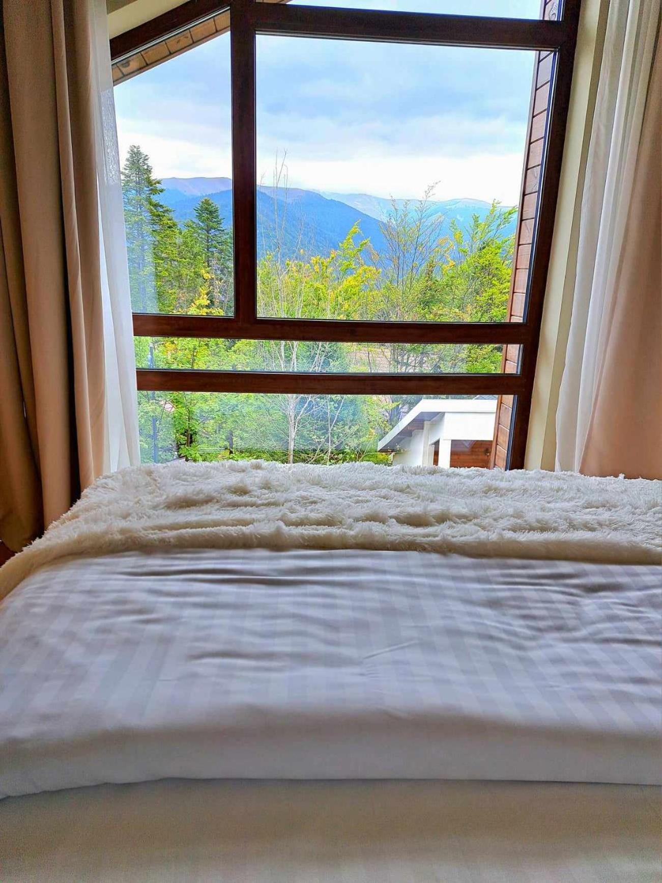 The Rock Apartment Sinaia Ngoại thất bức ảnh