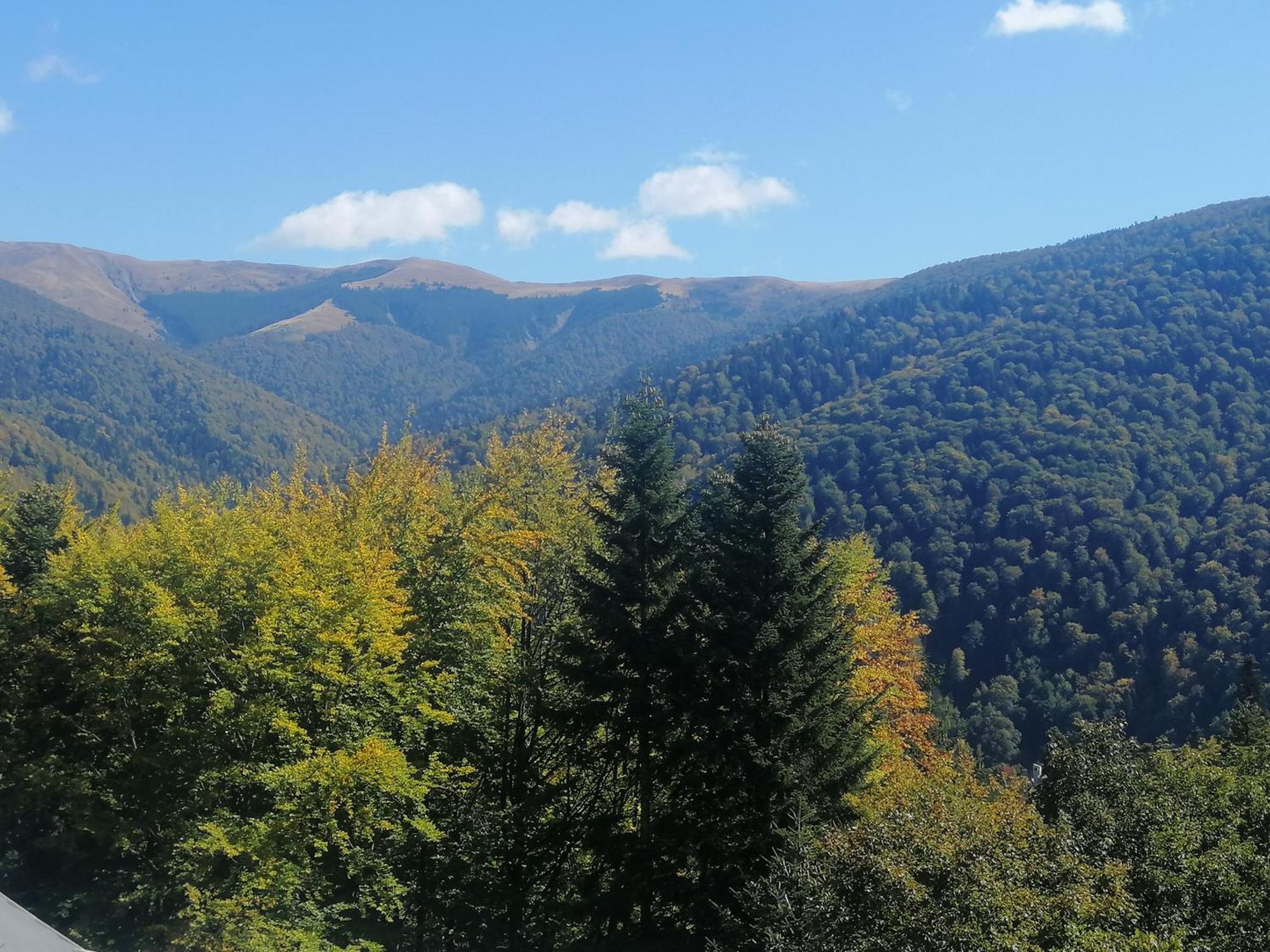 The Rock Apartment Sinaia Ngoại thất bức ảnh